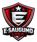 E-Saugumo lyga